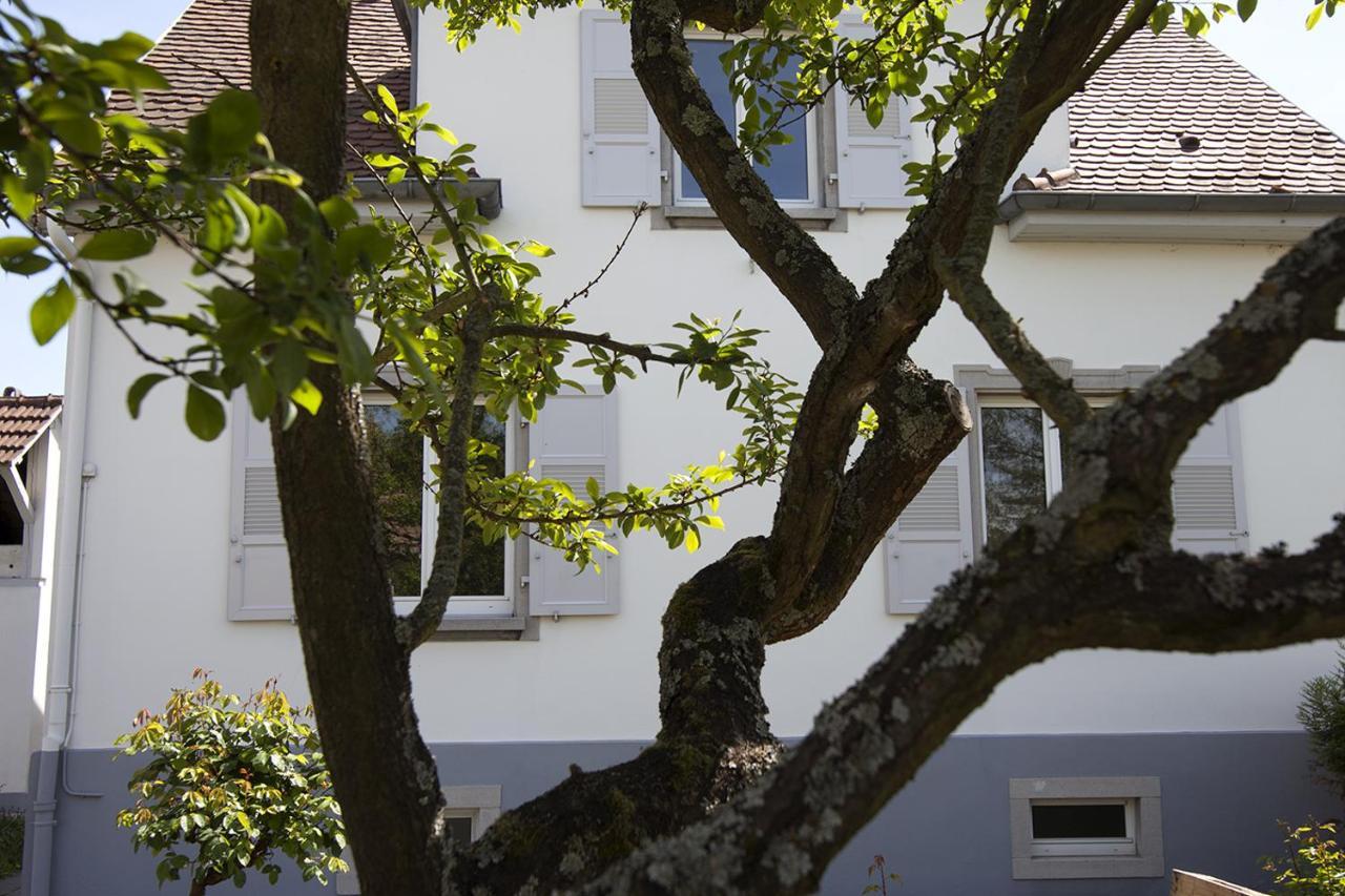 Ravissant 3P 90M2 Au Calme, Proche Du Parlement Europeen Strasbourg Luaran gambar